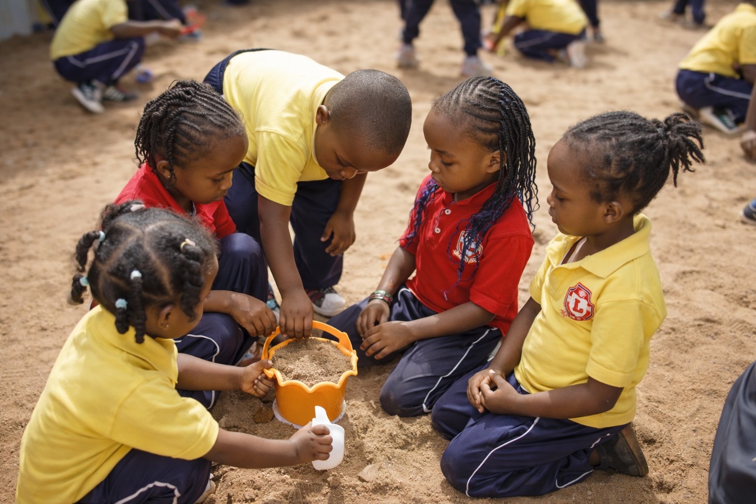 Kindergarten activity